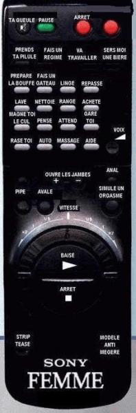 le reve de l'homme